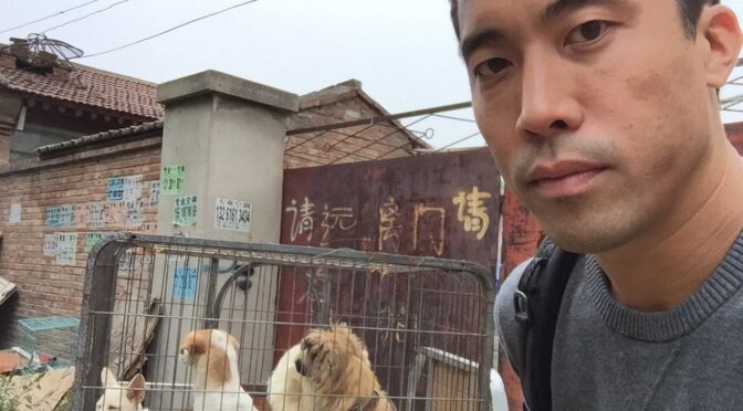This Man Rescued 1,000 Dogs From Being Killed at the Yulin Meat Festival