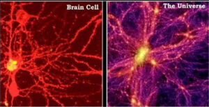 BrainCell-Universe