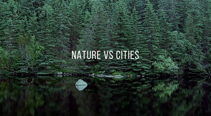 Nature Vs. Cities: How Nature Literally Restructures Your Brain Patterns