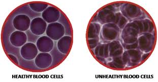 Healthy-and-Unhealty-Live-Blood-Cells-Anaylasis