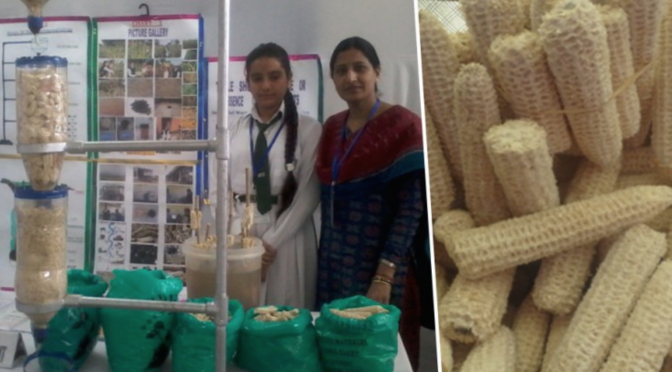 This Brilliant 13 Year Old Won Google’s Science Fair With A Water Purifier Made Out of Corn Cobs