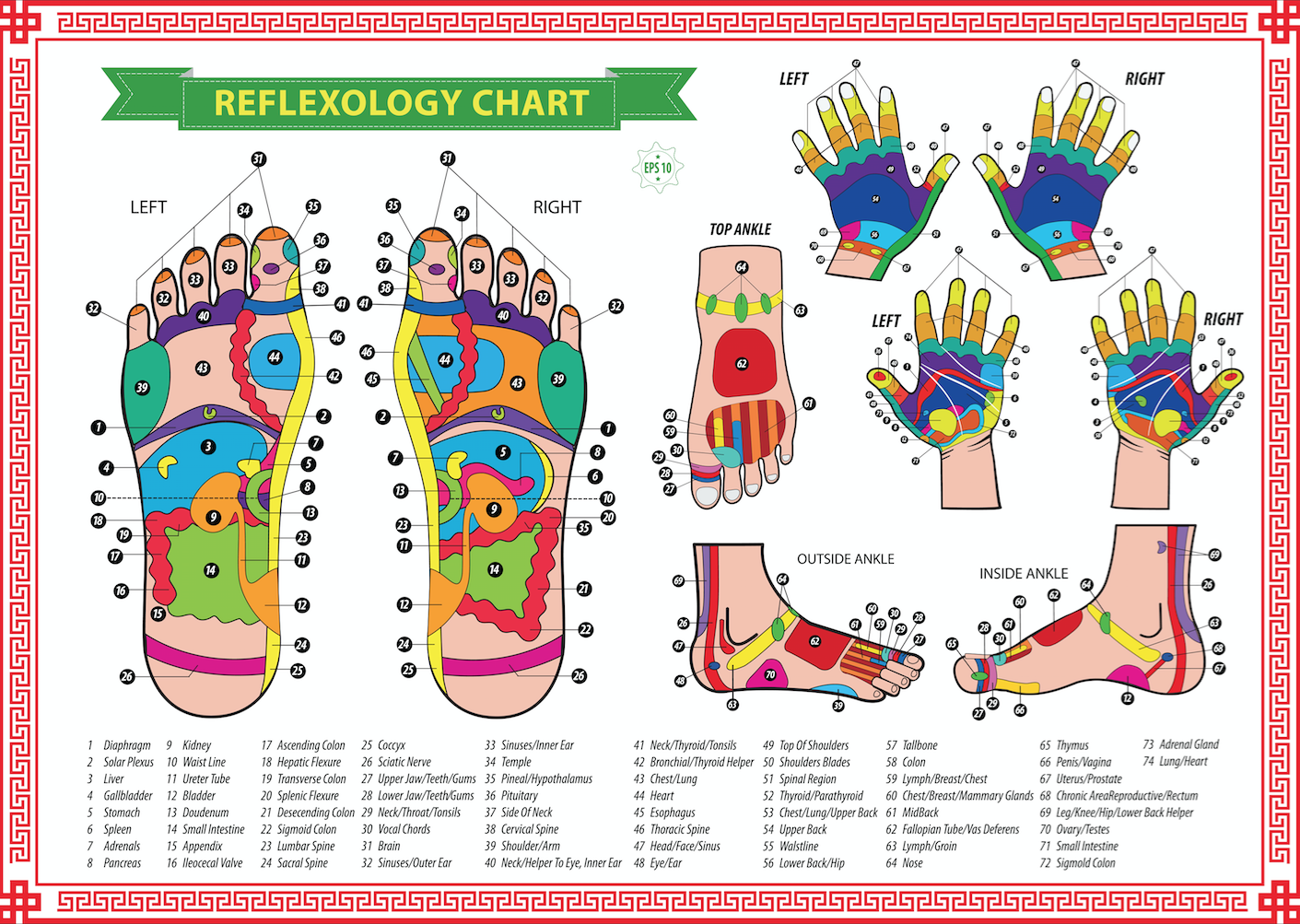 Reflexology The Secret To Balancing Our Qi Spirit Science 6660