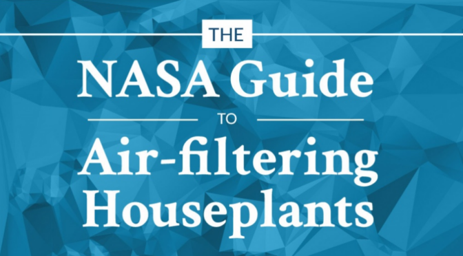 NASA s Guide To The Best Air Filtering Houseplants Spirit Science