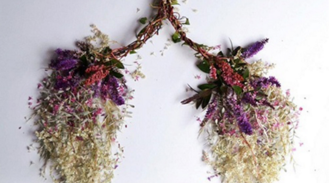 Check Out These Delicate Human Organs Made From Foraged Flowers & Plants