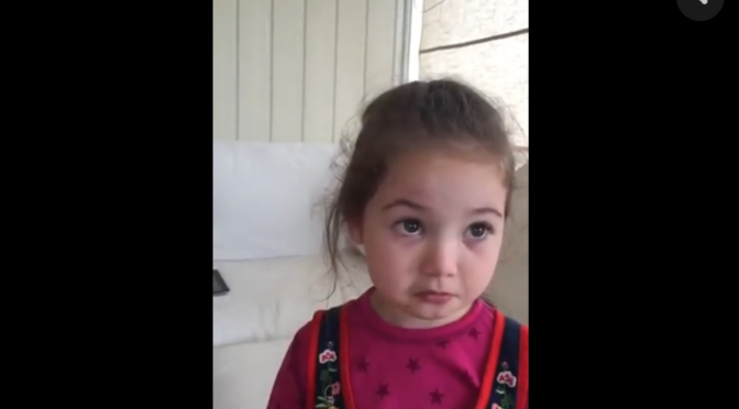 Watch What This Little Girl Says When She Explains Why She ‘Won’t Eat Animals”