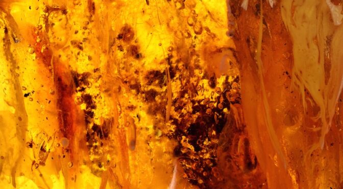 Would You Believe The Word “Electricity” Came From Amber?