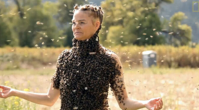 This Amazing Woman Meditates While ‘Wearing’ Thousands Of Honeybees