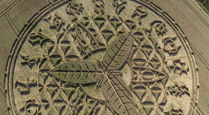 BREAKING – Stargate like Crop Circle appears in Ansty, Wiltshire Overnight!!