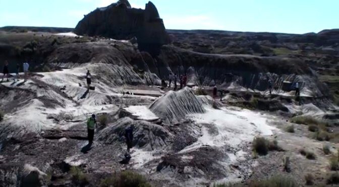 Canadian Paleontologists Find Hundreds of Buried Dinosaur Fossils