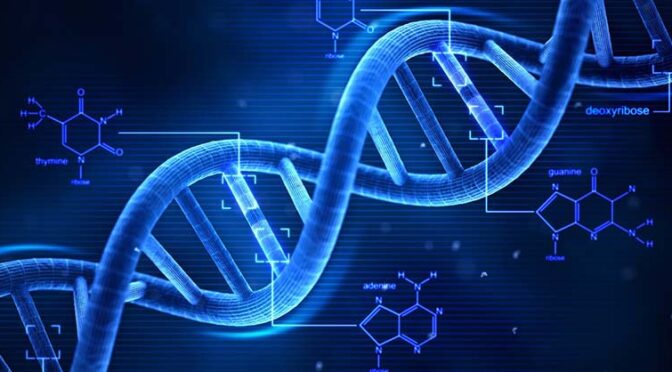 Is DNA evidence of a Creator?
