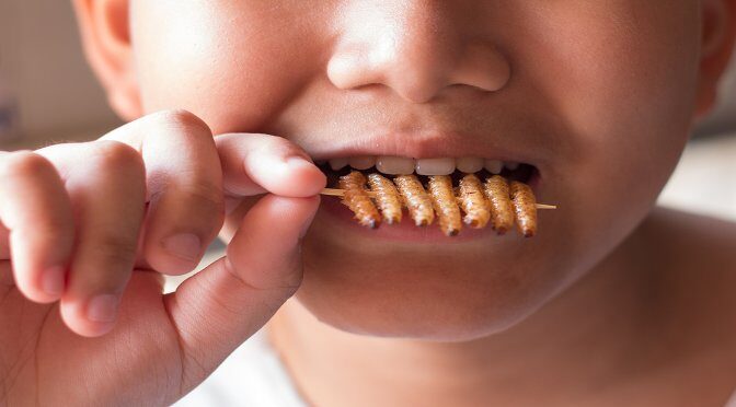 Creepy Crawlies: The Health Benefits of Eating Bugs & Why We Should Do It More Often