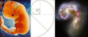 golden ratio