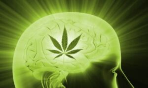 marijuana-migraines