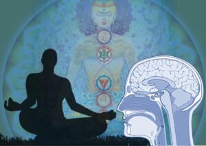 meditation-brain-2