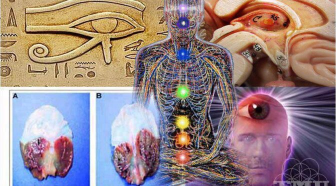3 Tools To Decalcify And Open Your Pineal Gland