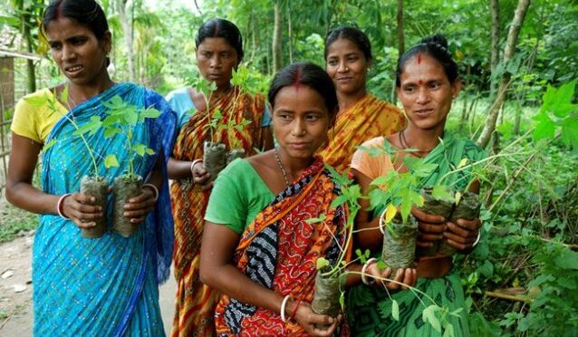 This Indian Village Plants 111 Trees In Honor of Every Baby Girl Born