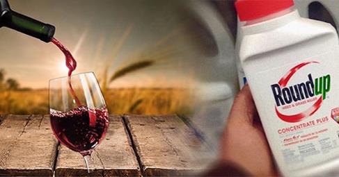 100% Of California Wines Tested Found To Contain Glyphosate