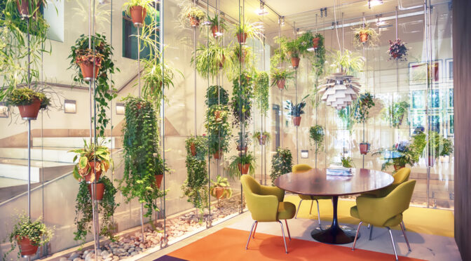 Six Innovative Ways To Help Make Your Office More Eco Friendly