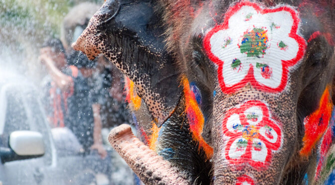 6 Magnificent Festivals That Celebrate Animals, Not Sacrifice Them