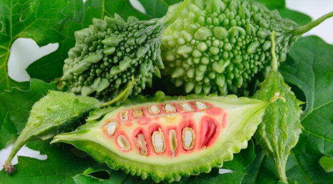 Bitter Melon: The Plant Can Kill Cancer Cells & Treat Diabetes
