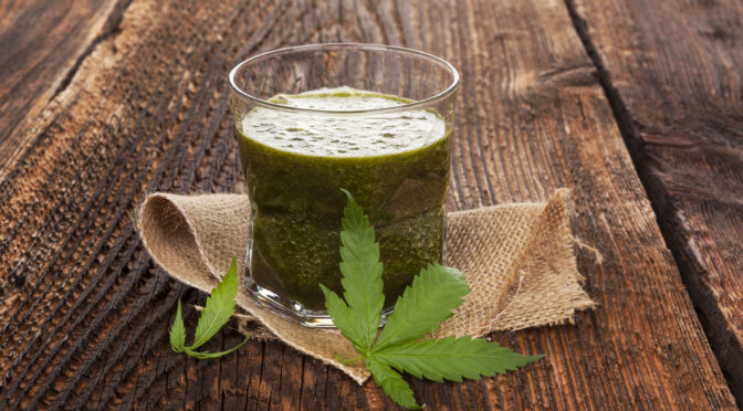 5 Important Reasons To Add Cannabis Leaves To Raw Juice Recipes