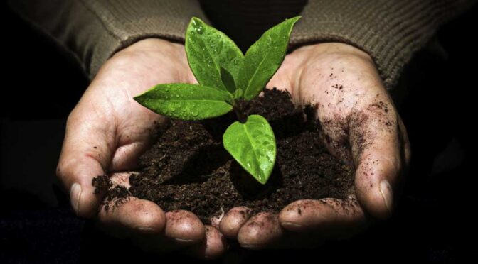 Save the soil, save the world.
