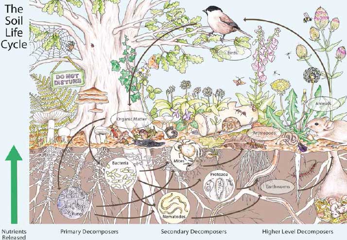 soilcycle