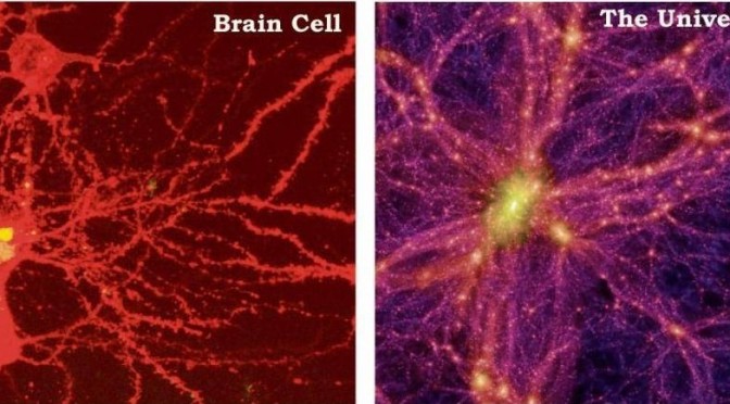 Studies Discover How Our Universe Grows Just Like A Brain