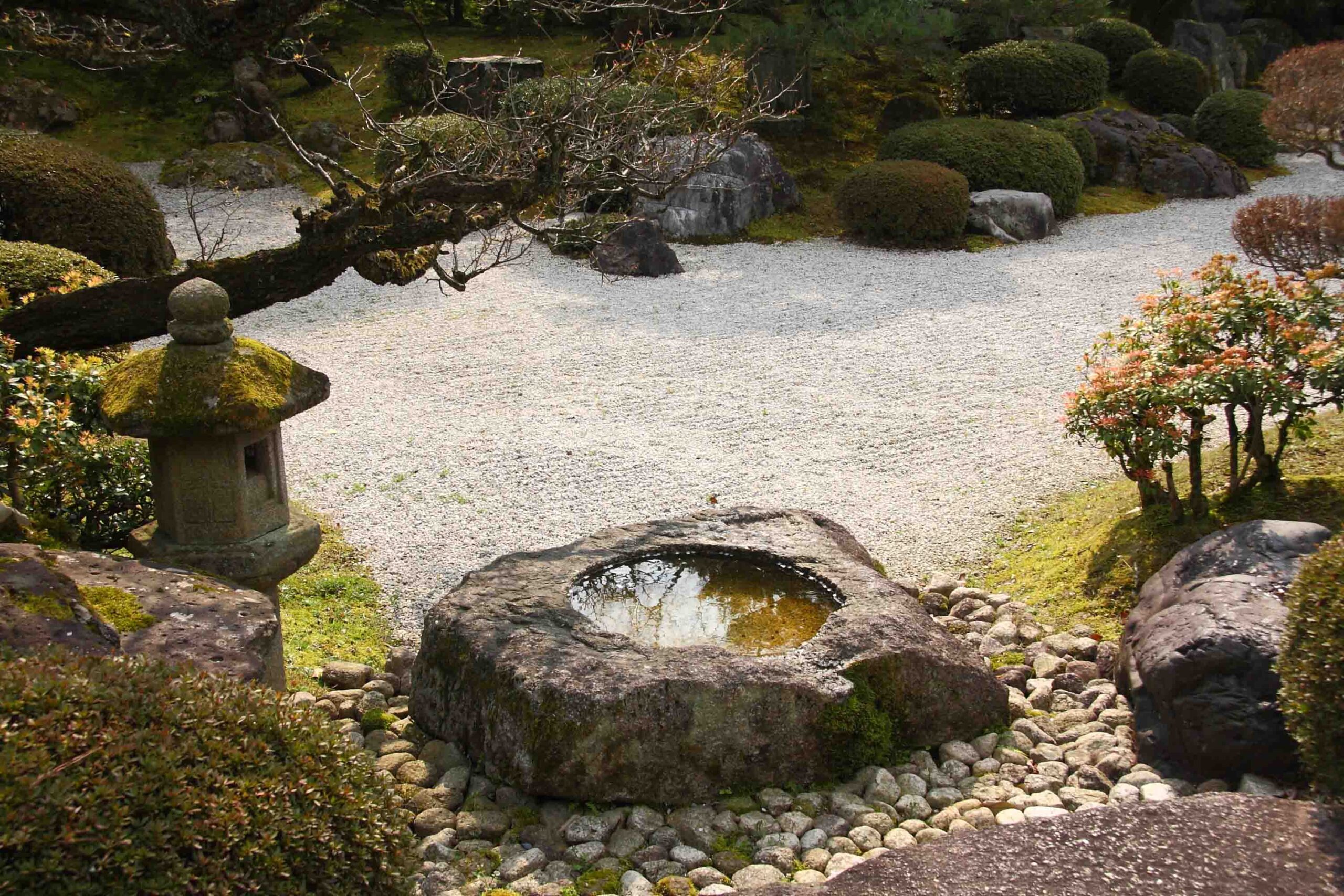 zen garden 2 cropped